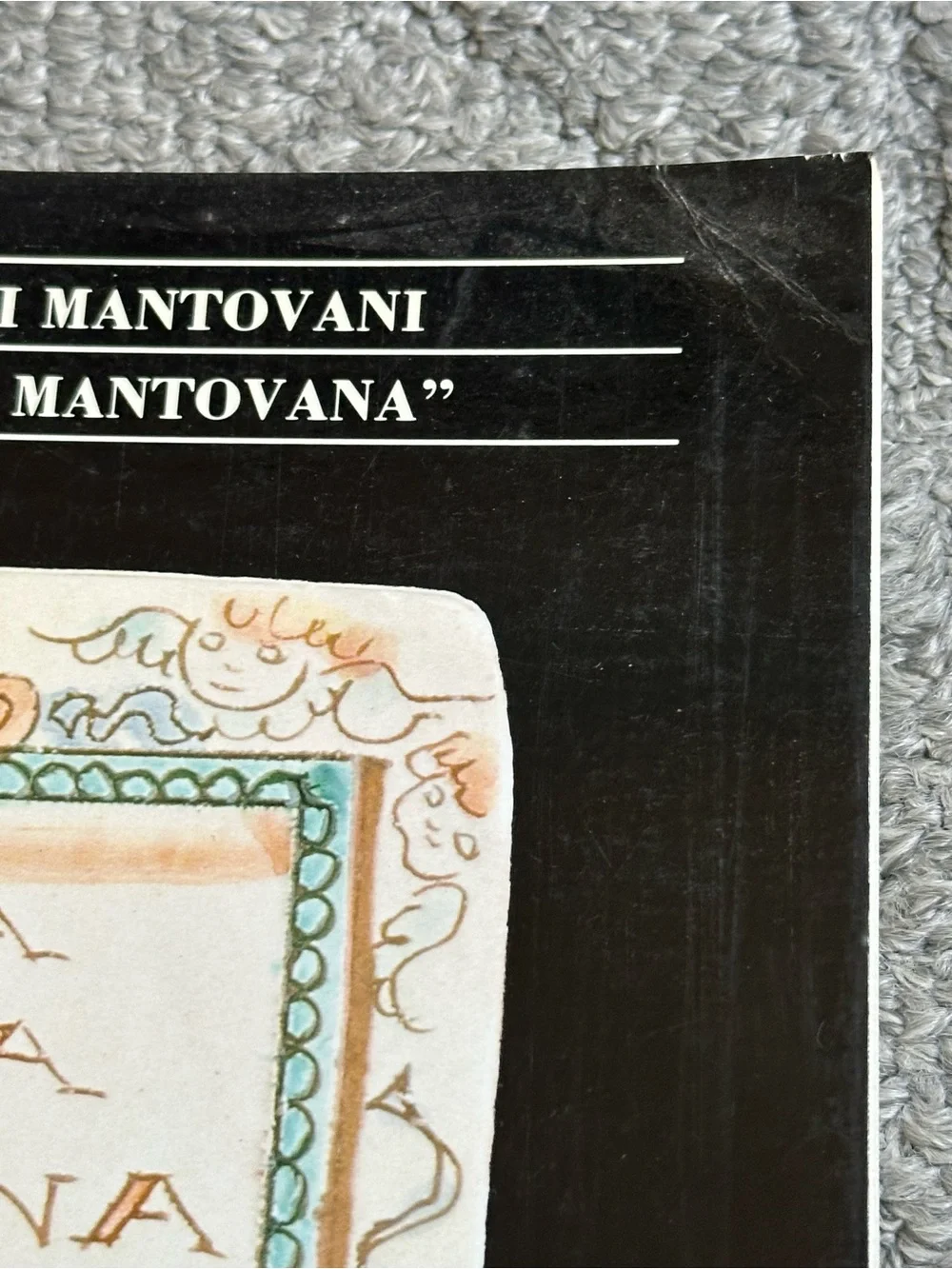 Vera Cucina Mantovana Ambiente Cookbook Recipes ITALIAN & ENGLISH Cangi Villani